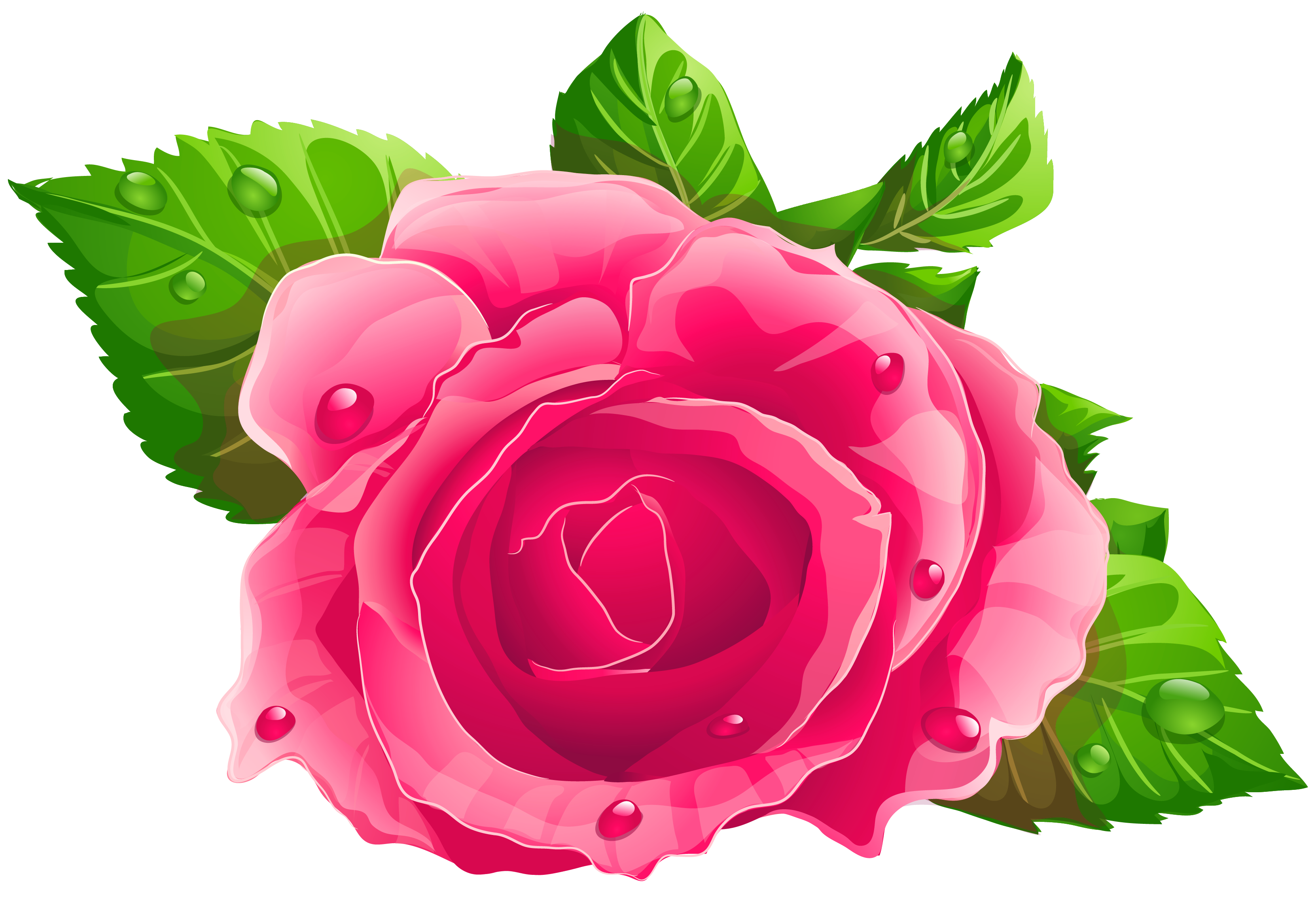 Beautiful Rose Free Images at vector clip art online